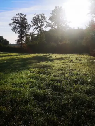 terrain-permaculture-adoptetonbijou.fr-blog